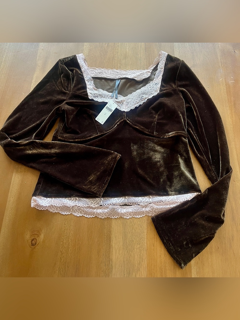 BNWT Anthropologie Velvet/Lace Blouse